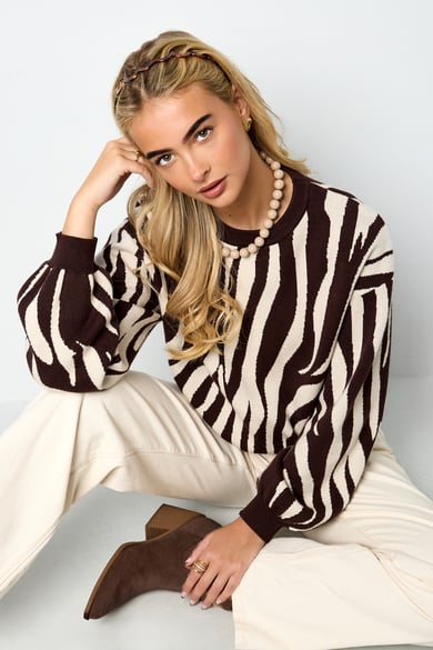 Pulls tricotés à rayures zébrées Vêtements décontractés automne/hiver h5 Image4